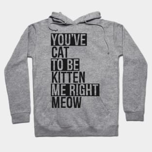 You've Cat To Be Kitten Me Right Meow Hoodie